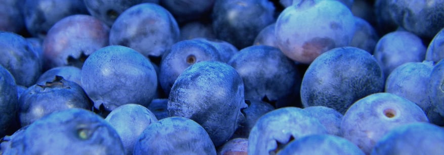 Blueberries