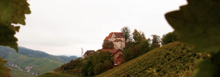 Schloss_am_Berg